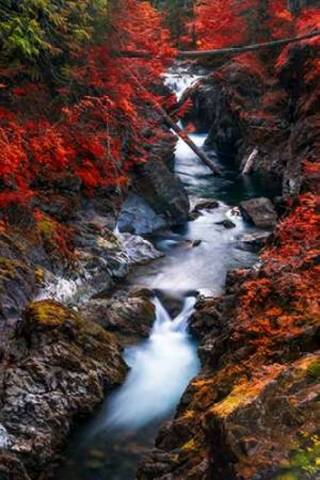 Water in the Fall Canvas Art - Vladimir Kostka (12 x 18)