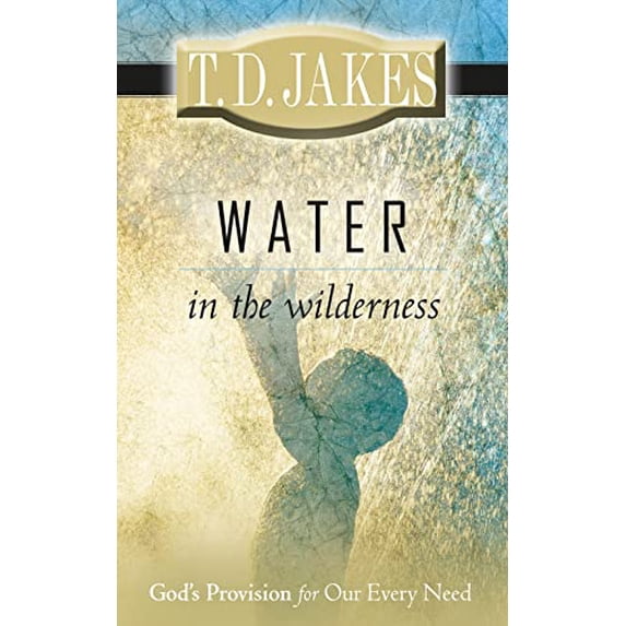 Pre-Owned Water in the Wilderness: God's Provision for Our Every Need (Paperback 9780768426458) by T D Jakes
