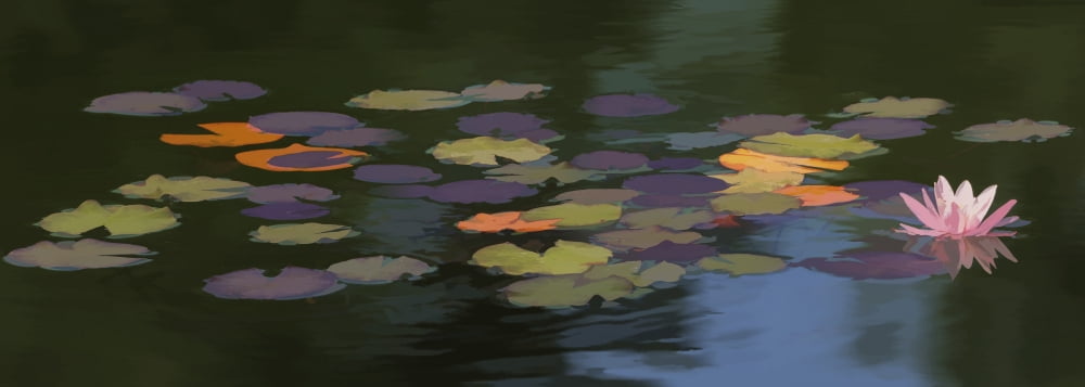 Water lilies (Nymphaeaceae) on a pond Alberta Canada Canvas Art - Ron Harris Design Pics (26 x 9)