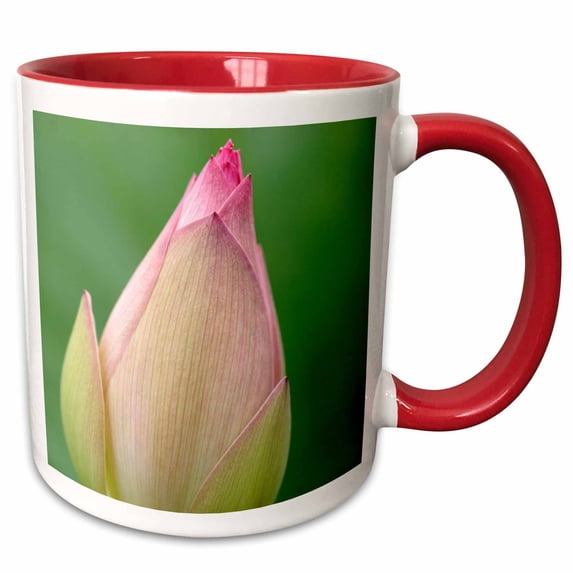 Water lily bulb, Durban Botanical Gardens, KwaZulu-Natal, South Africa 15oz Two-Tone Red Mug mug-209986-10