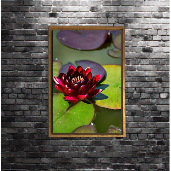 Water lily wall art print, red lotus flower, zen nature photography, botanical pond decor, floral meditation gift Poster Decor, Size 12x18 UNFFRAMED F03.1.8l1428