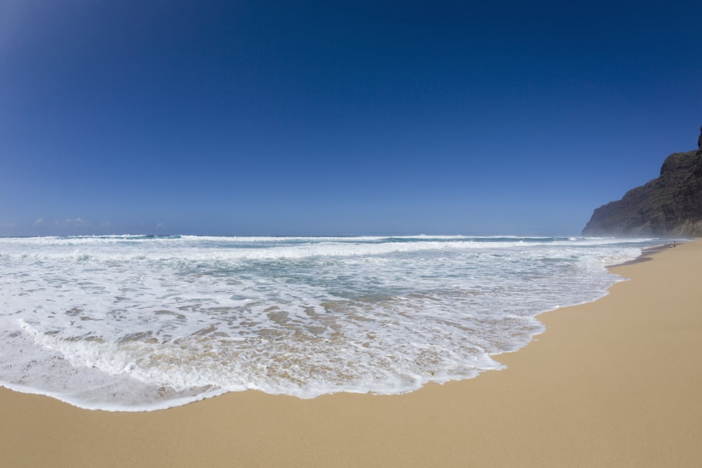 Water washing up on the beach Barking Sands (Polihale Beach) on West Kauai Kauai Hawaii United States of America Canvas Art - Alvis Upitis  Design Pics (19 x 12)