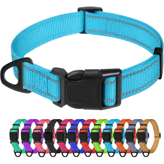 Waterbb Small Dog Collar, Adjustable Reflective Nylon Pet Collar with Quick Release Buckle, Sky Blue, 5/8" Width