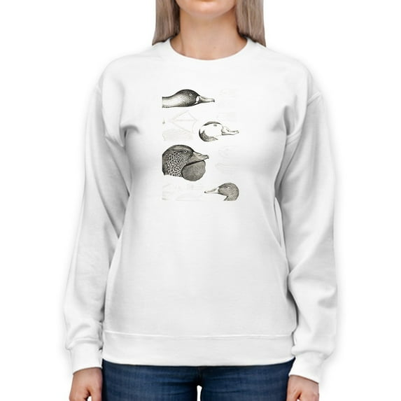 Waterbird Sketchbook Iv. Sweatshirt Women -Vision Studio Designs, Female 5X-Large