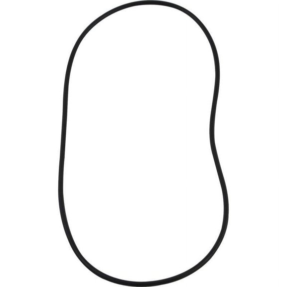 Waterco 00B7000 Control Plate Gasket O-Ring