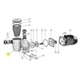 thumbnail image 1 of Waterco 6350192 Supatuf Pump Body with 0.25 in. Inserts, 1 of 1