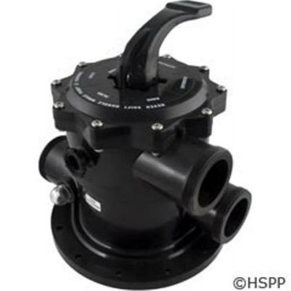 Waterco USA  2 in. Tm Multiport Valve F-S602 Filter - Black - 2 in.