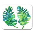 thumbnail image 1 of Watercolor Banana Palm Leaves Single Detailed Motifs in Vintage Botanic Mousepad Mouse Pad Mouse Mat 9x10 inch, 1 of 3