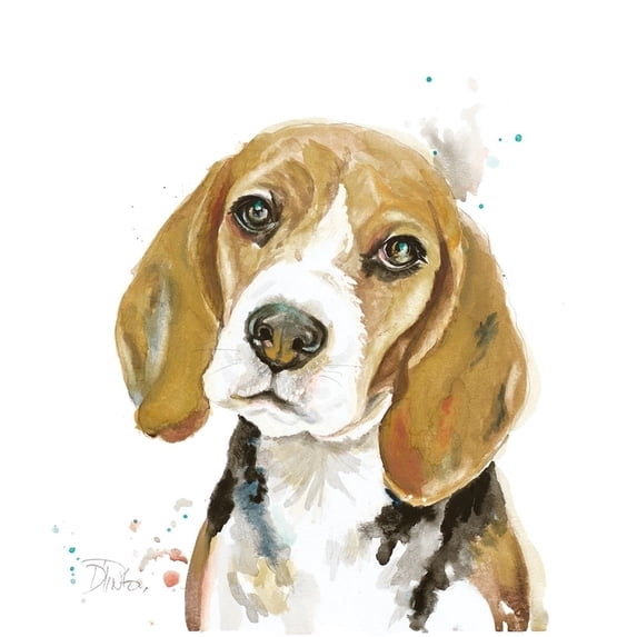 Watercolor Beagle Poster Print by Patricia Pinto 14268G
