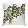 thumbnail image 1 of Watercolor Birds Pillows Decorative Throw Pillows,Hand-Painted Oil Painting Rustic Birds Square Pillow Cases,Cute Colorful Spring Summer Decorations for Home Couch Sofa Outdoor, 1 of 5