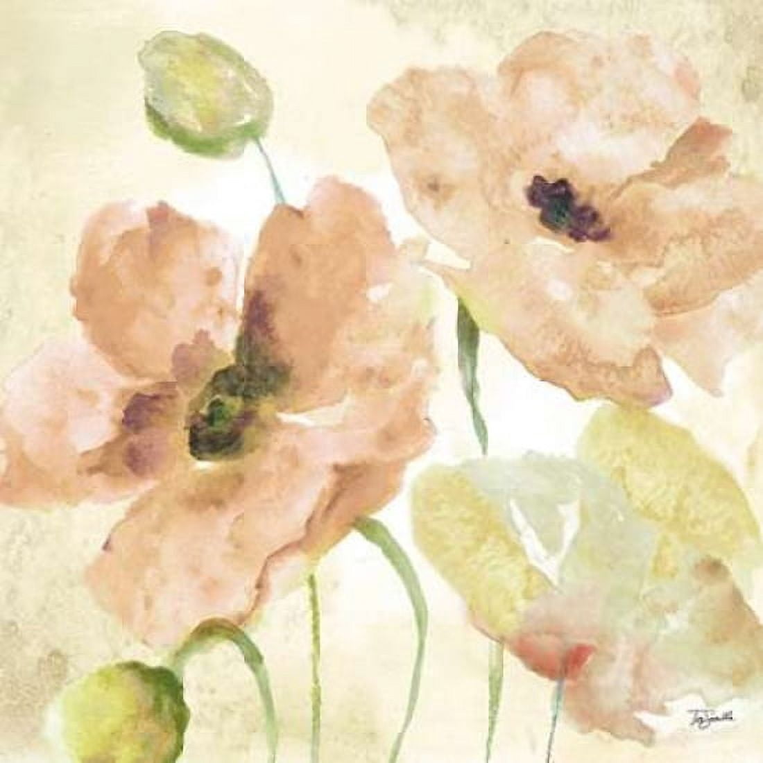 Watercolor Blush II Canvas Art - Tre Sorelle Studios (24 x 24)