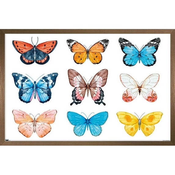 Watercolor Butterflies Wall Poster, 14.725" x 22.375", Framed
