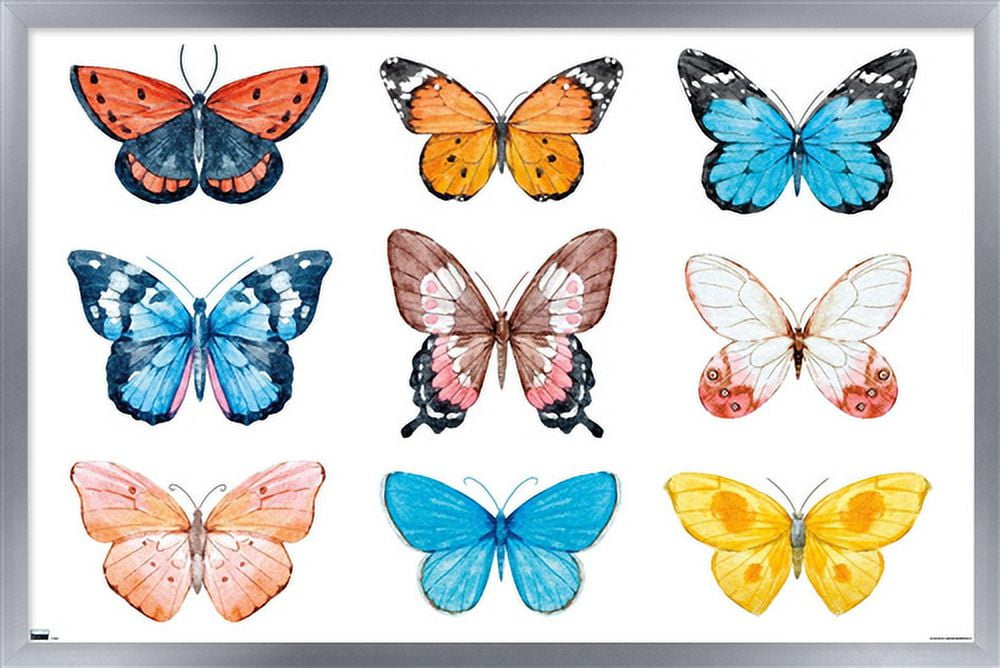 Watercolor Butterflies Wall Poster, 14.725" x 22.375", Framed