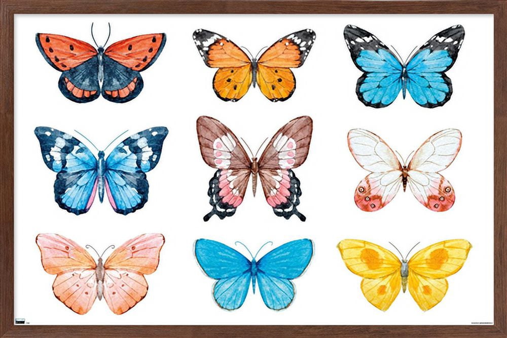 Watercolor Butterflies Wall Poster, 14.725" x 22.375", Framed
