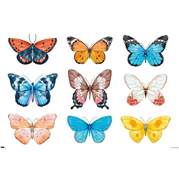 Watercolor Butterflies Wall Poster, 22.375" x 34"