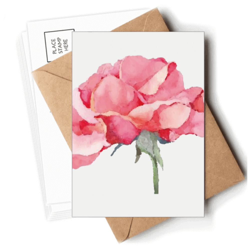 Watercolor Carnation Flowers  Postcards Envelopes Blank Note Cards Mailing