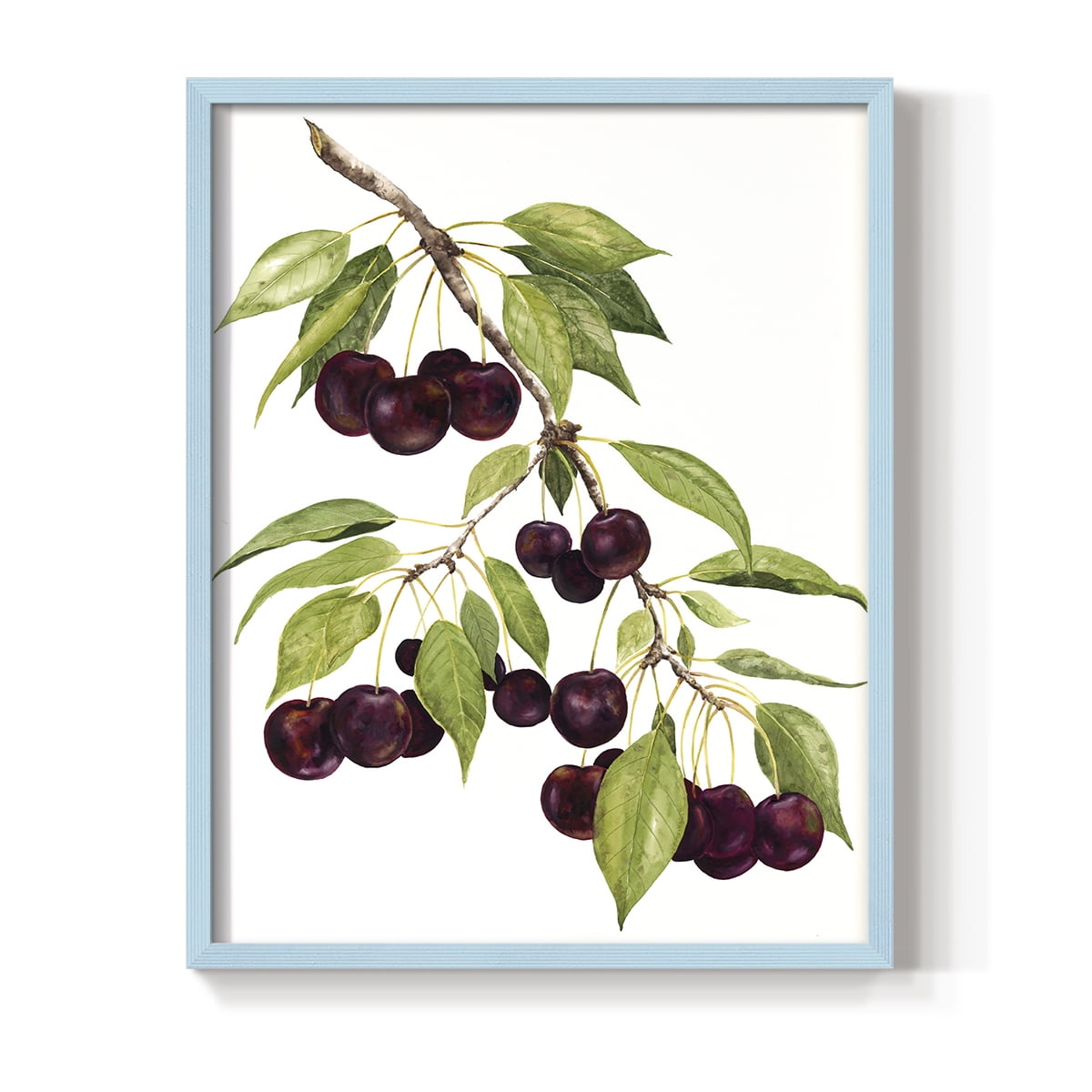 Watercolor Cherries Framed Print in Blue Solid Wood 8 x 10 Framed Print