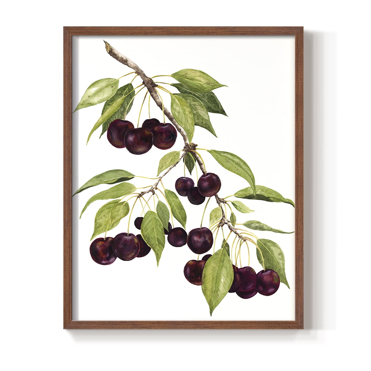 Watercolor Cherries Framed Print in Brown Solid Wood 8 x 10 Framed Print