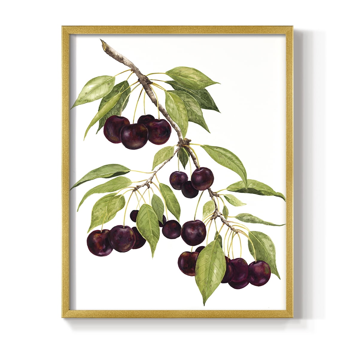 Watercolor Cherries Framed Print in Gold Solid Wood 8 x 10 Framed Print