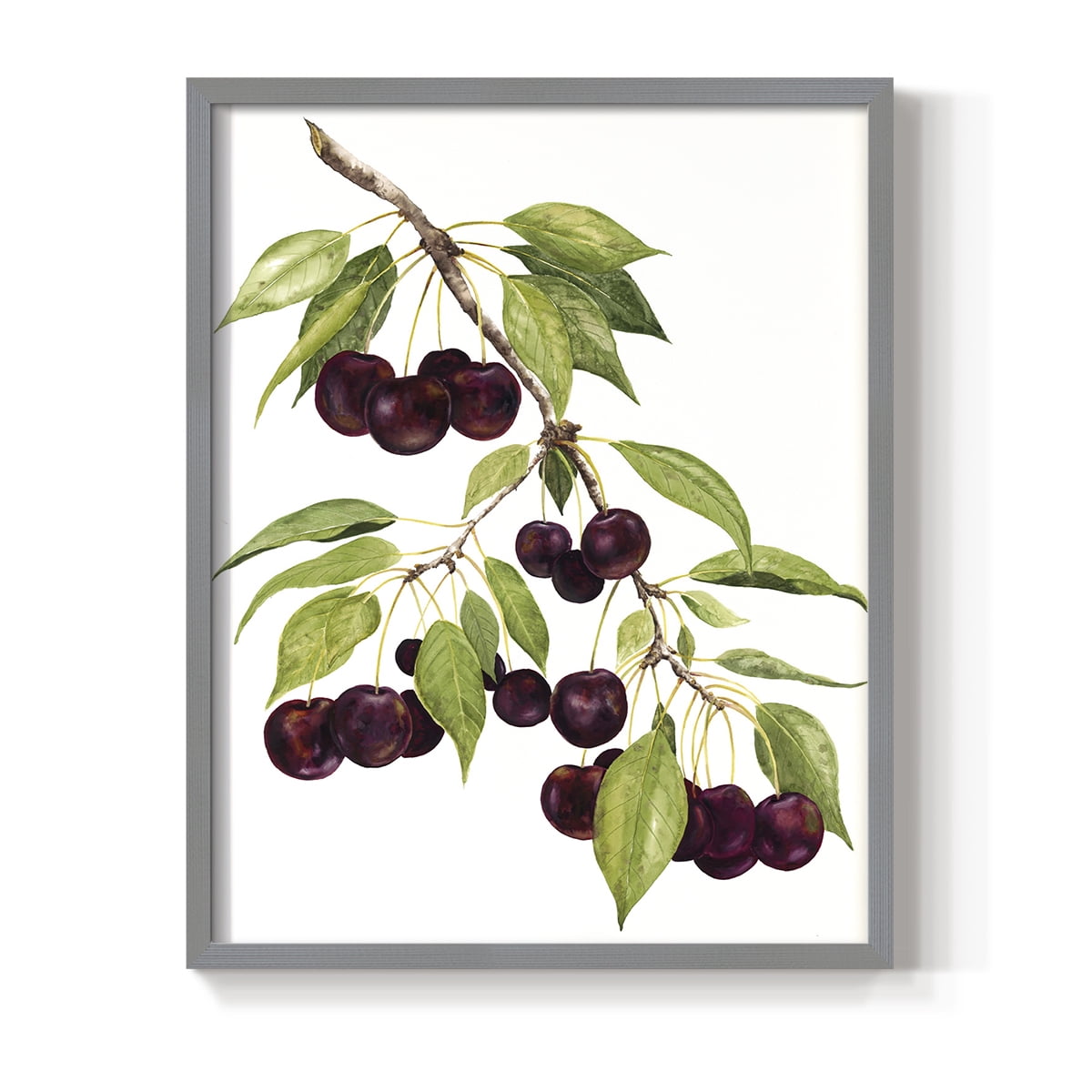 Watercolor Cherries Framed Print in Gray Solid Wood 8 x 10 Framed Print