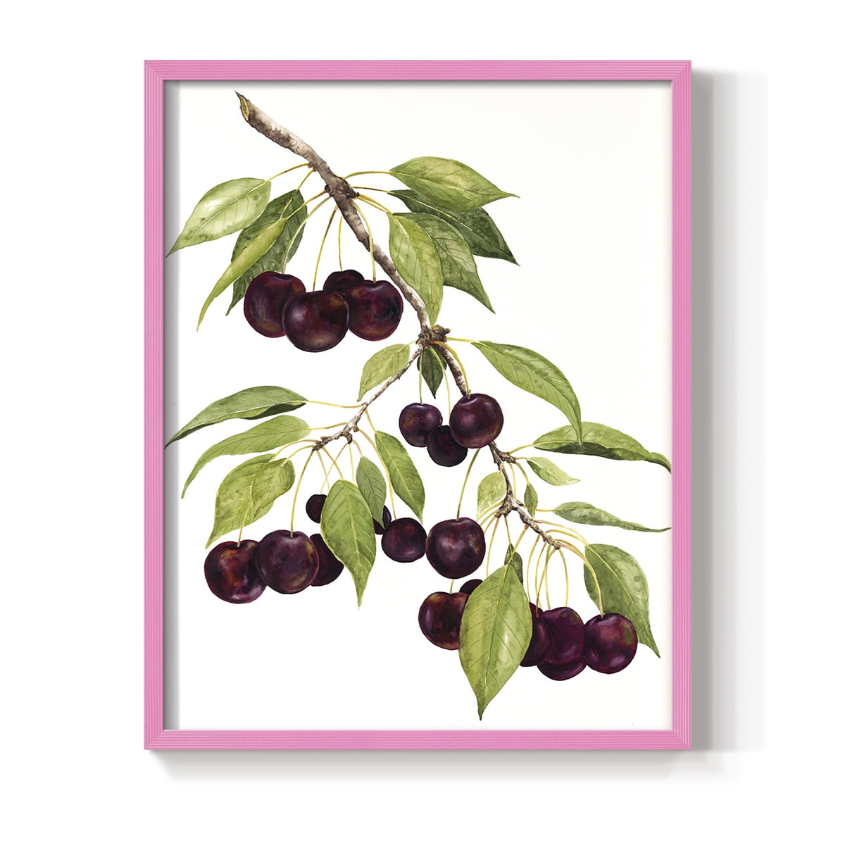 Watercolor Cherries Framed Print in Pink Solid Wood 11 x 14 Framed Print