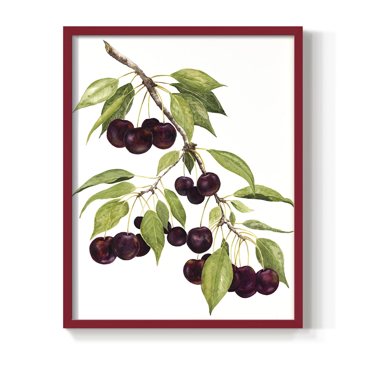 Watercolor Cherries Framed Print in Red Solid Wood 11 x 14 Framed Print
