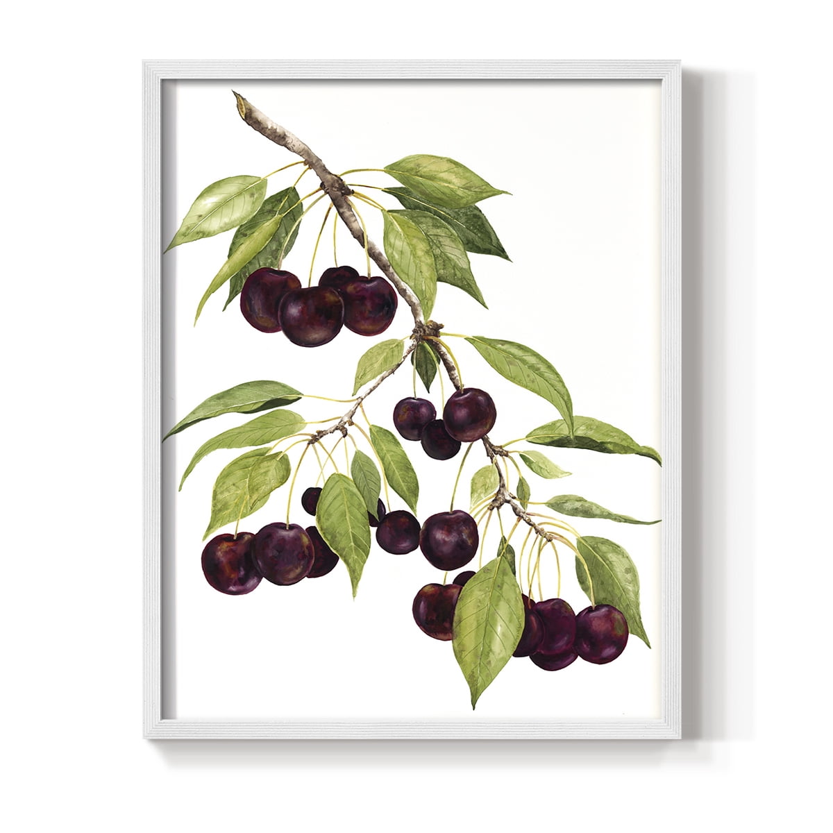 Watercolor Cherries Framed Print in White Solid Wood 11 x 14 Framed Print