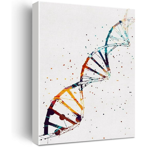 Watercolor DNA Science Art Canvas Painting Abstract DNA Single Helix Prints Art for Home Living Room Wall Decor Framed Genetics Artwork Gifts(12x15 Inch)