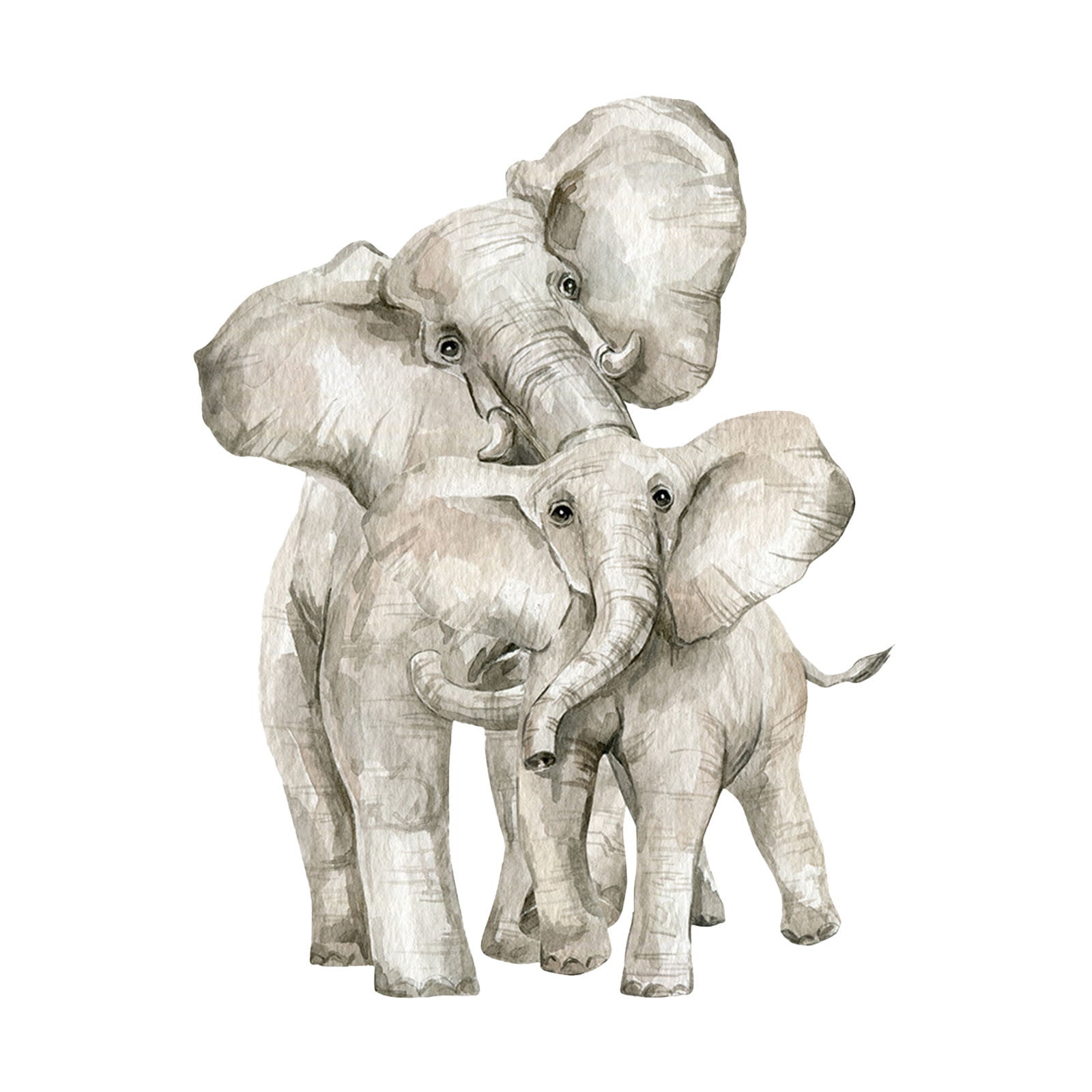 Watercolor Elephant Wall Stickers Jungle Animal Wall Decals Heads for