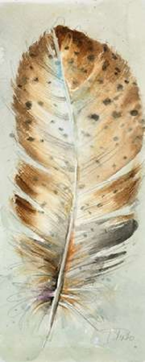 Watercolor Feather III Canvas Art - Patricia Pinto (24X48)