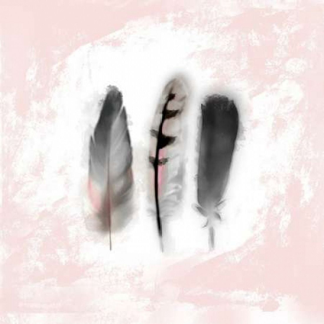 Watercolor Feather Study 1 in Pink Canvas Art - Evangeline Taylor (24 x 24)