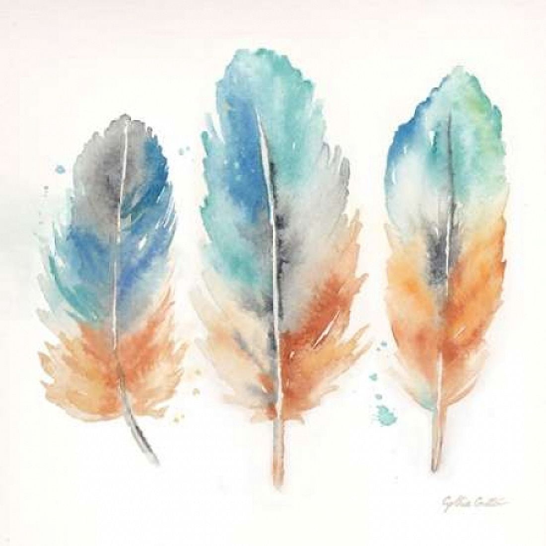 Watercolor Feathers I Canvas Art - Cynthia Coulter (24 x 24)