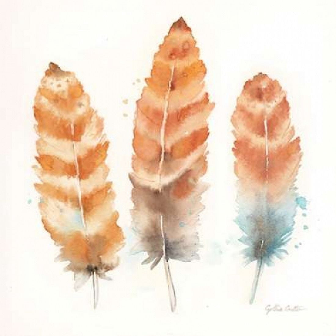 Watercolor Feathers II Canvas Art - Cynthia Coulter (24 x 24)