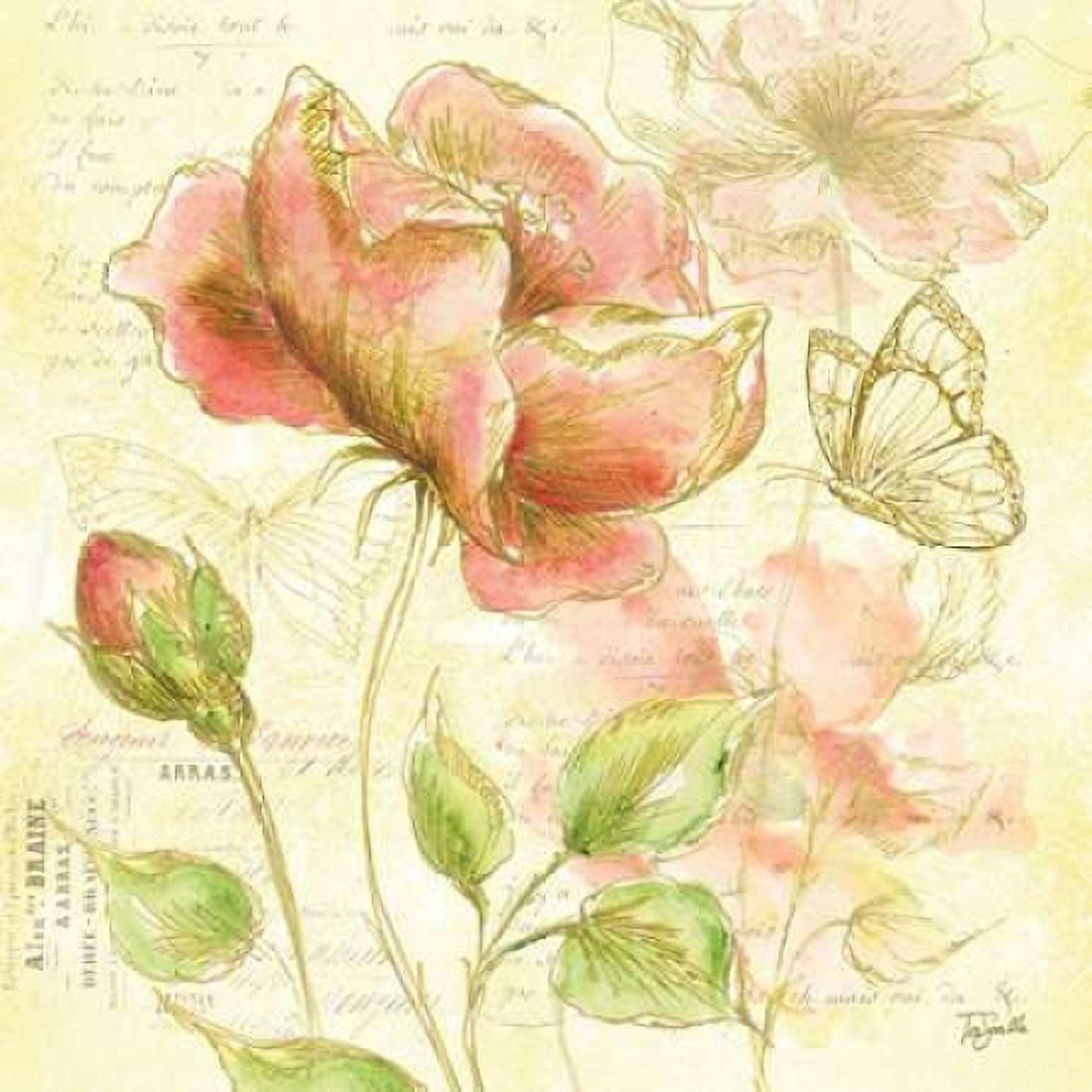 Watercolor Flower Sketch Blush I Canvas Art - Tre Sorelle Studios (24 x 24)