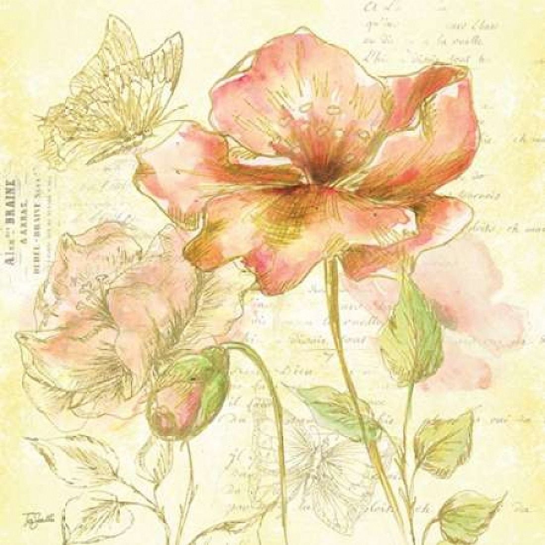 Watercolor Flower Sketch Blush II Canvas Art - Tre Sorelle Studios (24 x 24)