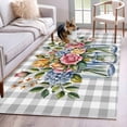 thumbnail image 1 of Watercolor Flowers Area Rugs 3x5 ft Pink Rose Leaf Bottle Gray White Plaid Washable Rug Non Slip Indoor Carpet Absorbent Floor Mat for Living Room Bedroom Dining Room, 1 of 9