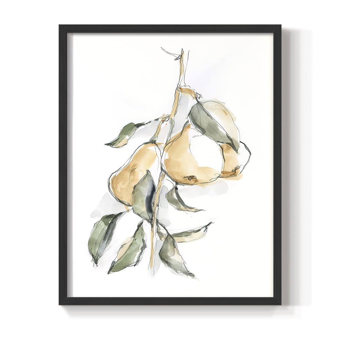 Watercolor Fruit Contour I Framed Print in Black Solid Wood 22 x 28 Framed Print