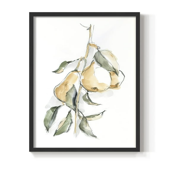 Watercolor Fruit Contour I Framed Print in Black Solid Wood 8 x 10 Framed Print