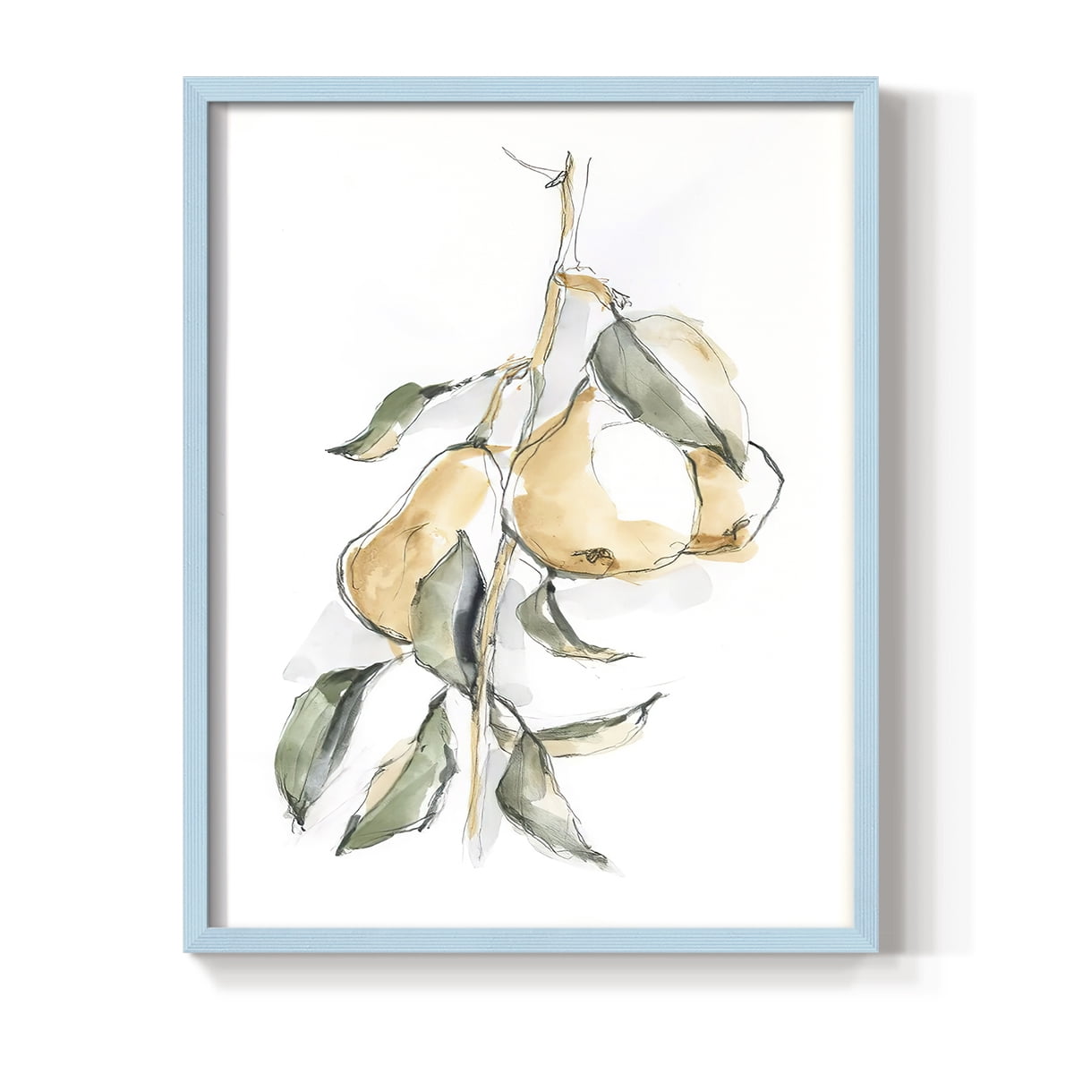 Watercolor Fruit Contour I Framed Print in Blue Solid Wood 11 x 14 Framed Print