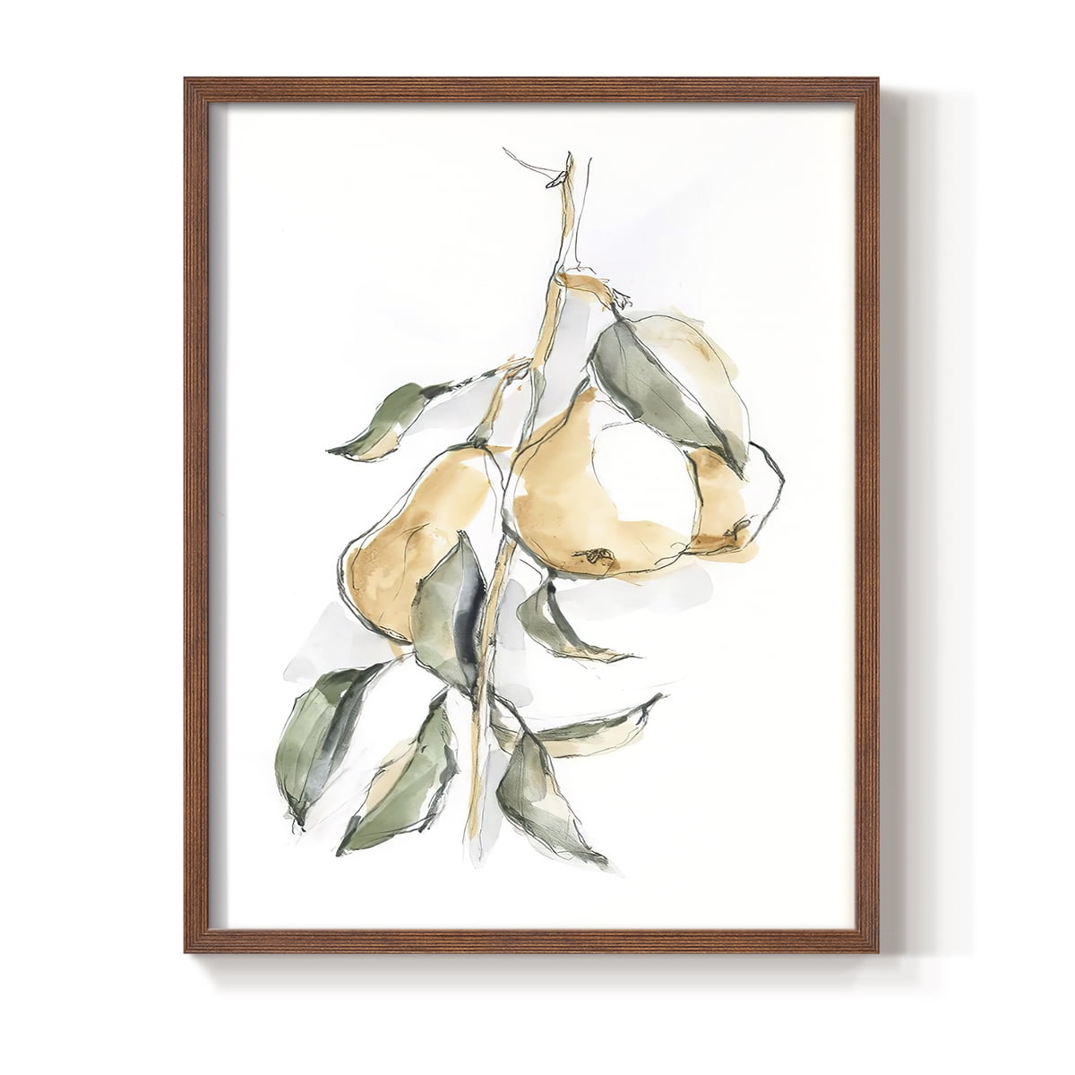 Watercolor Fruit Contour I Framed Print in Brown Solid Wood 11 x 14 Framed Print