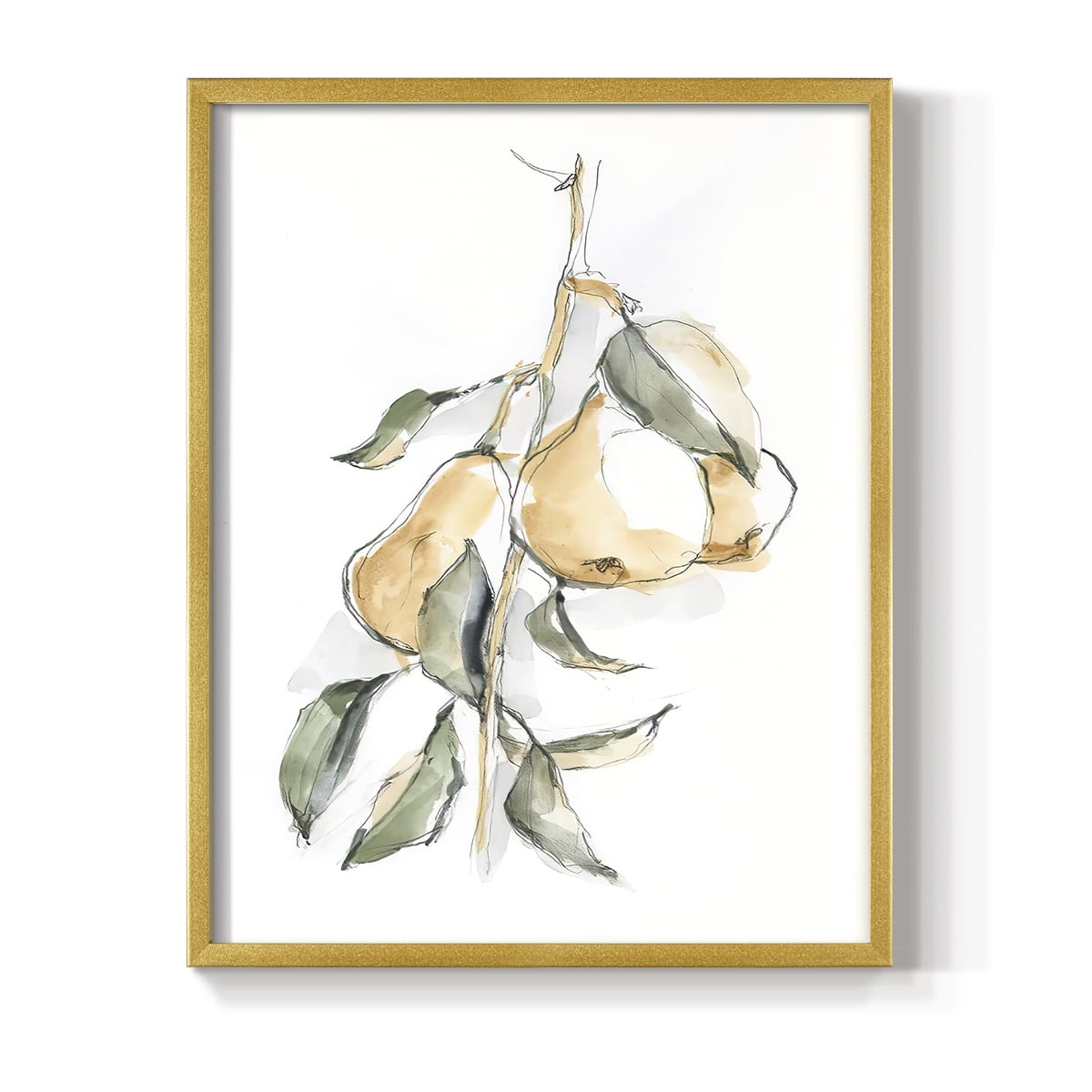 Watercolor Fruit Contour I Framed Print in Gold Solid Wood 22 x 28 Framed Print