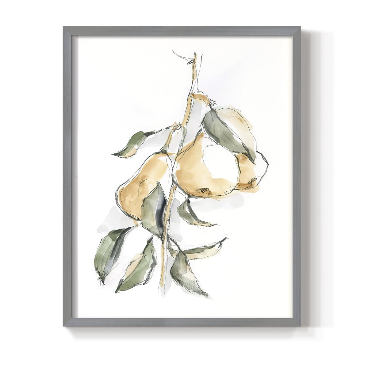 Watercolor Fruit Contour I Framed Print in Gray Solid Wood 22 x 28 Framed Print