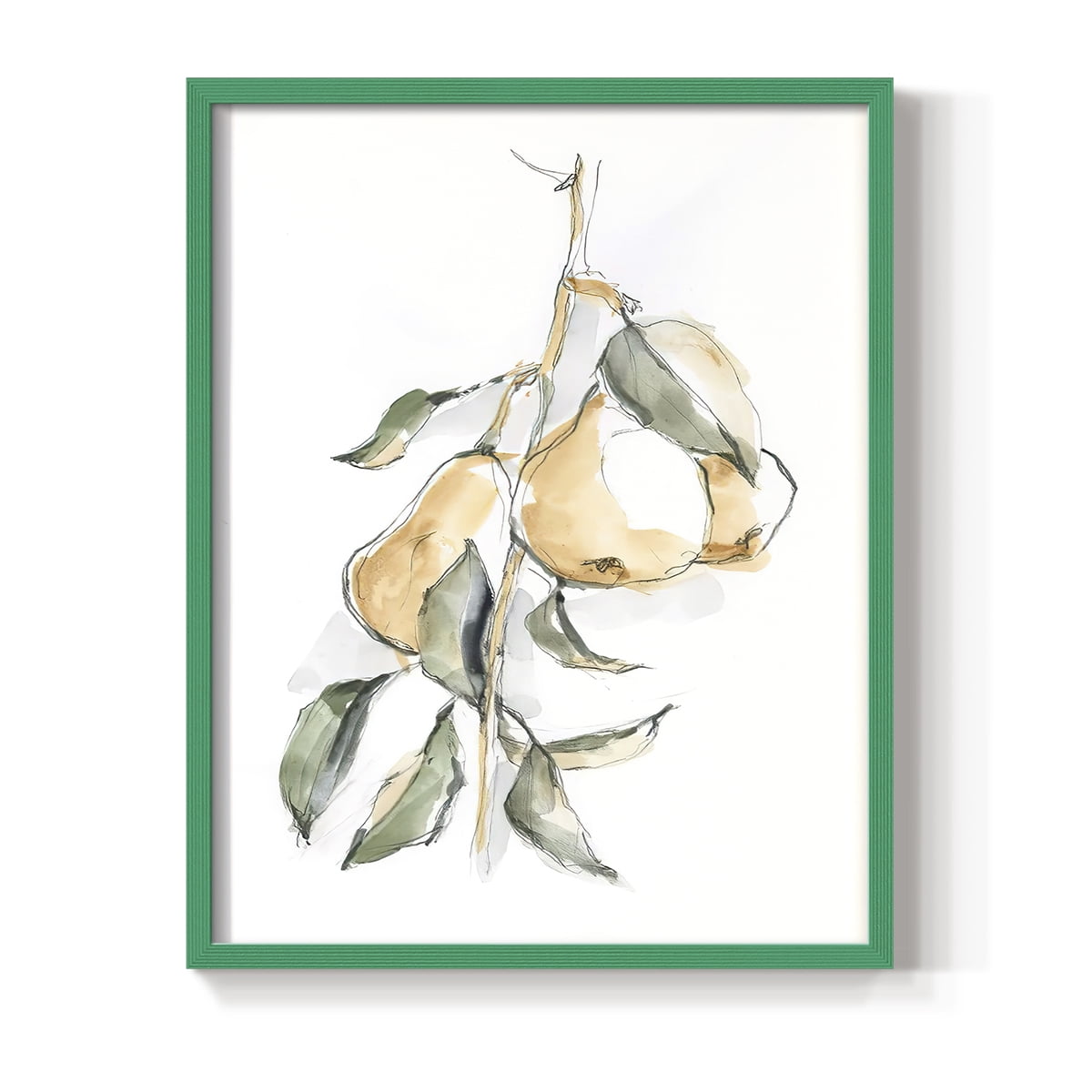 Watercolor Fruit Contour I Framed Print in Green Solid Wood 11 x 14 Framed Print