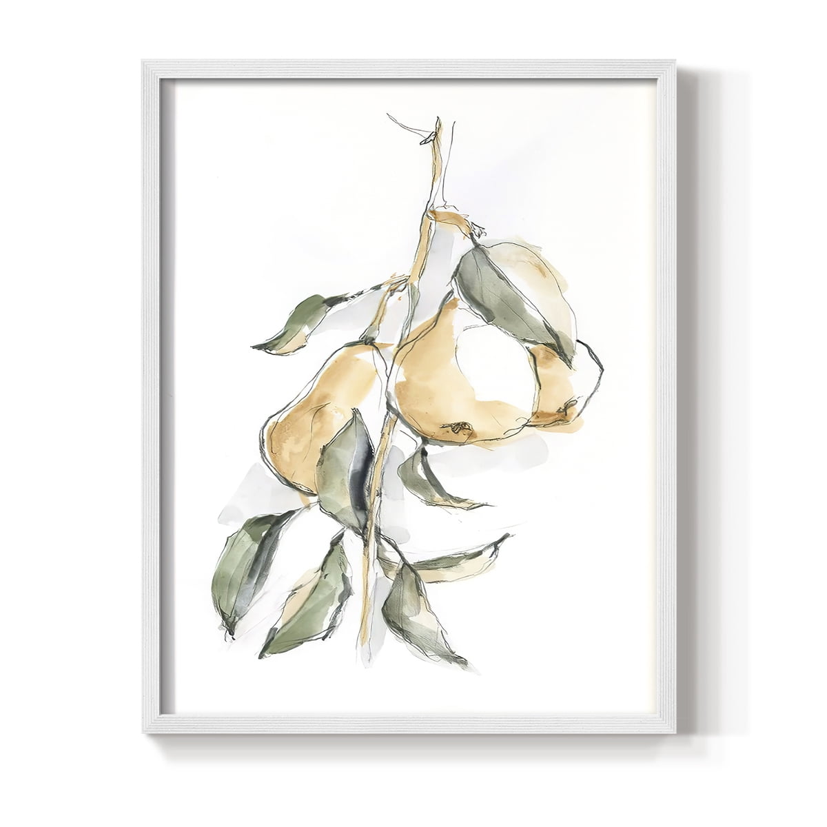 Watercolor Fruit Contour I Framed Print in White Solid Wood 8 x 10 Framed Print