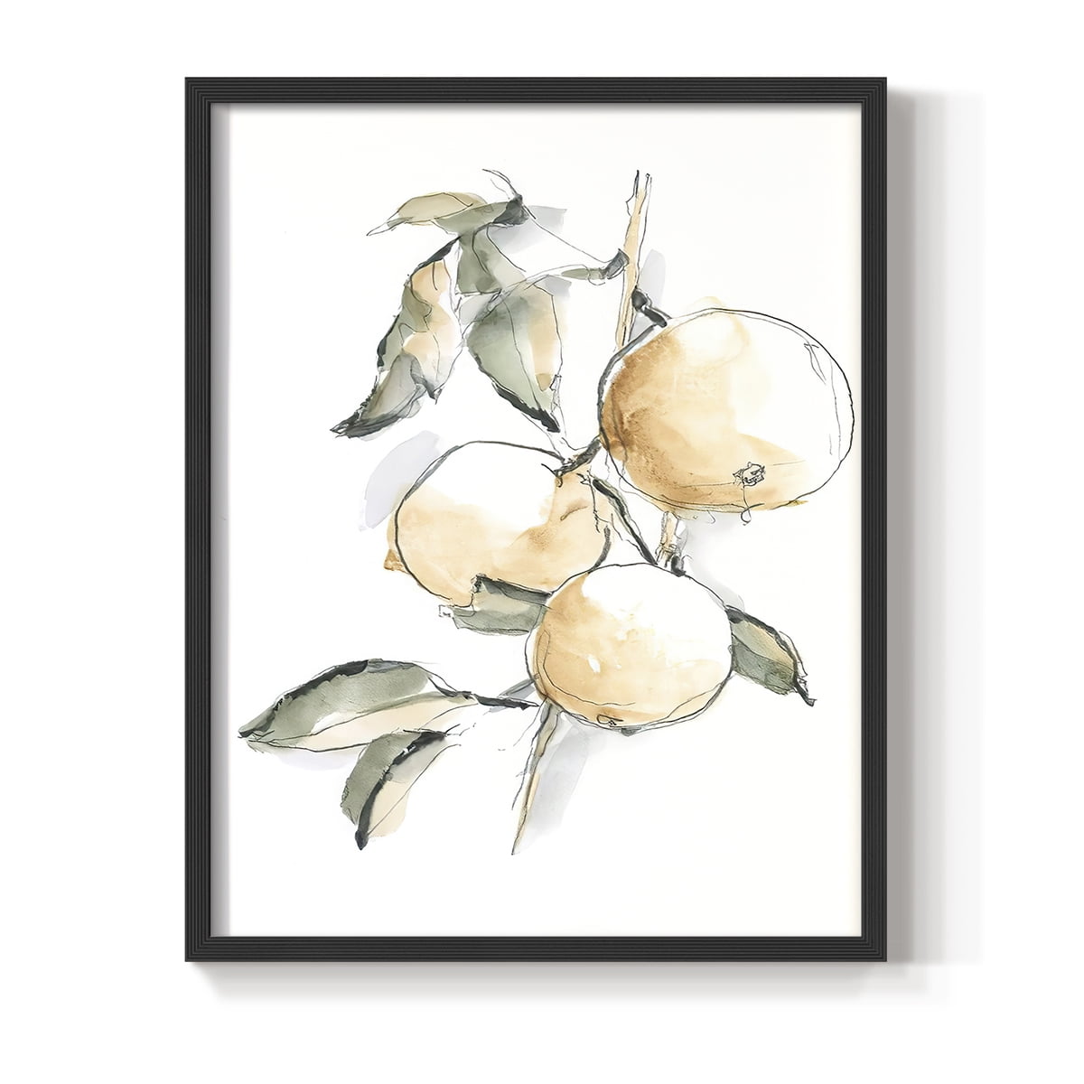 Watercolor Fruit Contour II Framed Print in Black Solid Wood 16 x 20 Framed Print