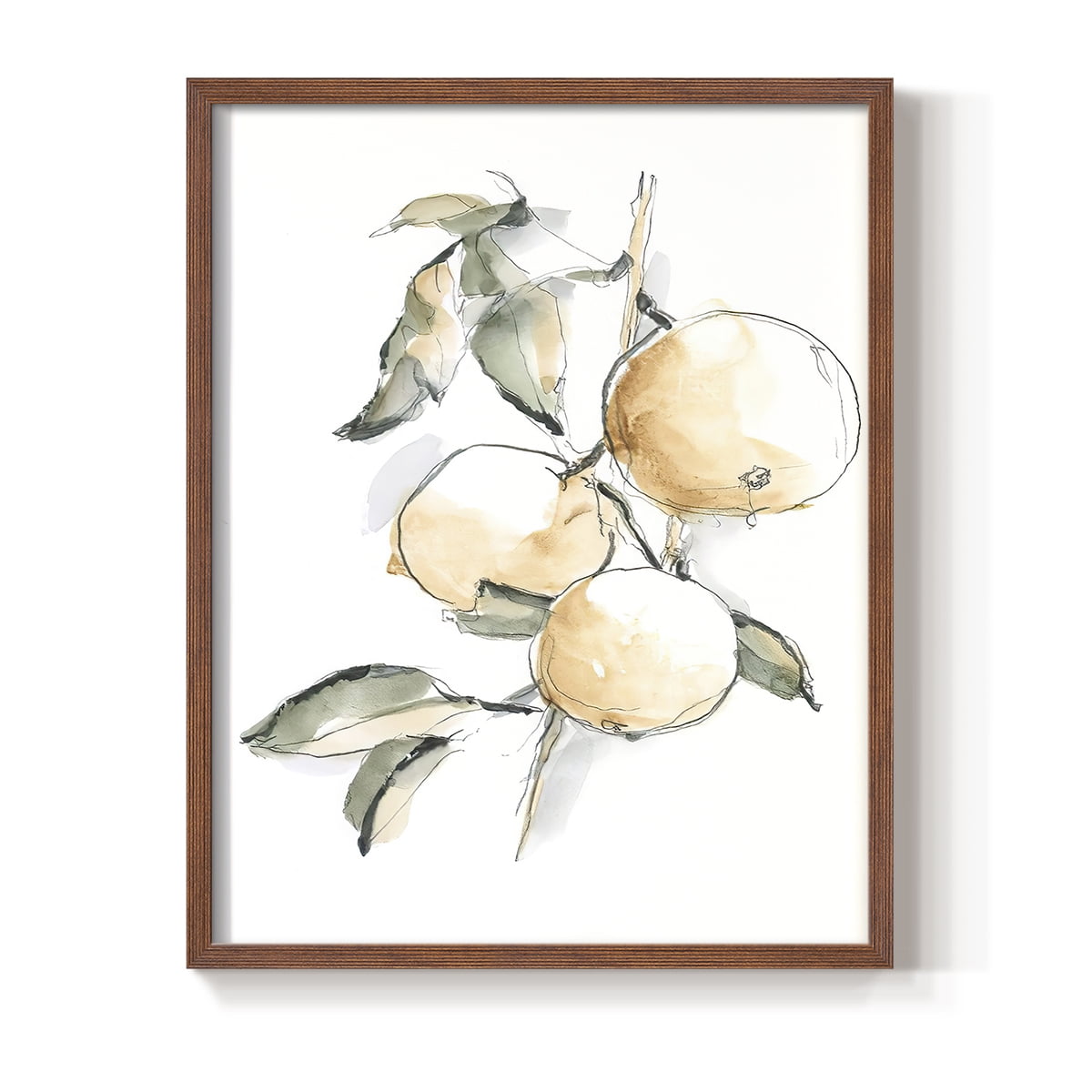 Watercolor Fruit Contour II Framed Print in Brown Solid Wood 11 x 14 Framed Print