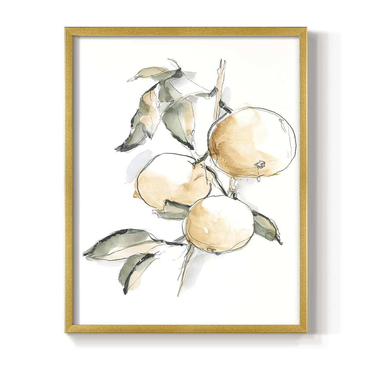 Watercolor Fruit Contour II Framed Print in Gold Solid Wood 16 x 20 Framed Print