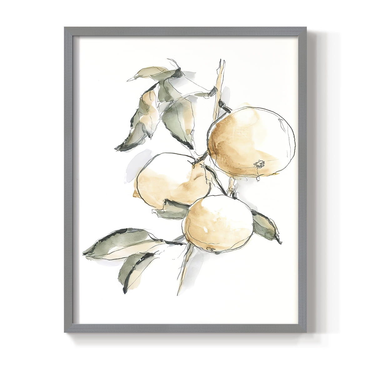 Watercolor Fruit Contour II Framed Print in Gray Solid Wood 22 x 28 Framed Print