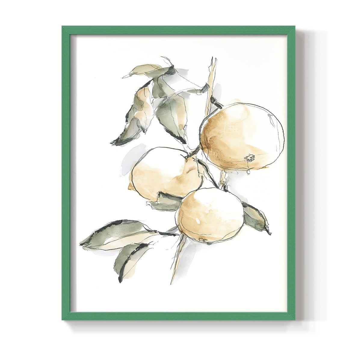 Watercolor Fruit Contour II Framed Print in Green Solid Wood 11 x 14 Framed Print