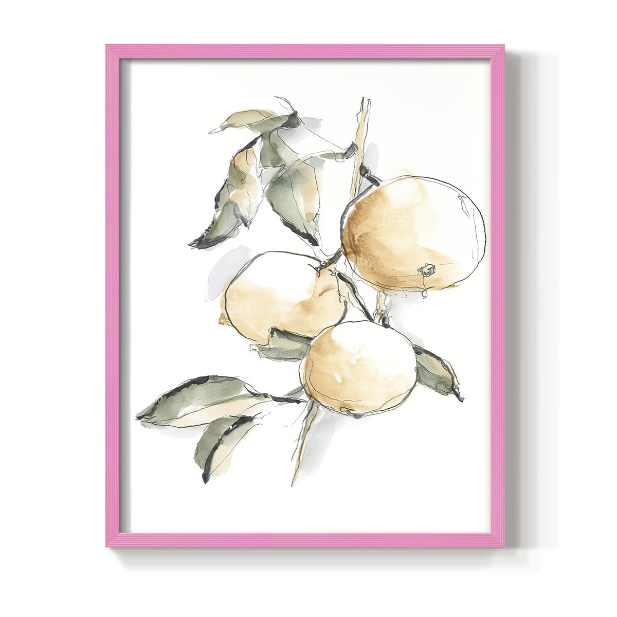 Watercolor Fruit Contour II Framed Print in Pink Solid Wood 11 x 14 Framed Print